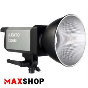 Golden Leato LED Light eagle